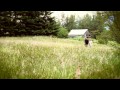 Come Thou Fount - Bronn & Katherine Journey - Harp and Voice
