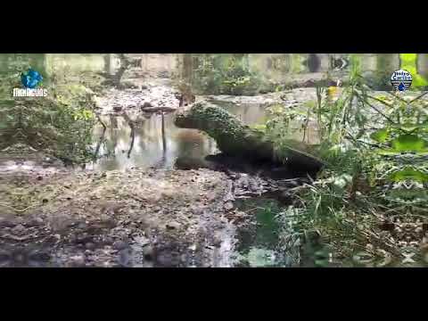 👉🔵#Anzoátegui