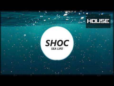 SHOC - Sea Life
