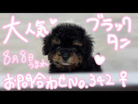 YouTube動画のサムネイル