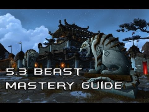 Beast Mastery Hunter 5.3 PvP Guide HD