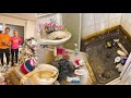 The Dirtiest Houses in the World!!😱 Speed Cleaning Them to Perfection for Free✨