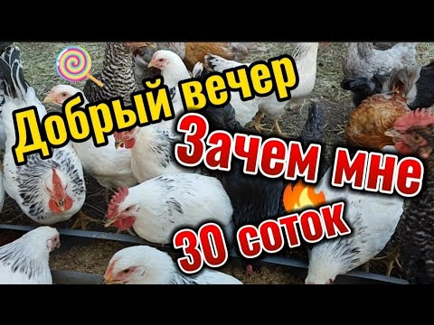 Зачем мне 30 соток, что самое главное в пересадке цветов, мои мысли про цены на дома в станице