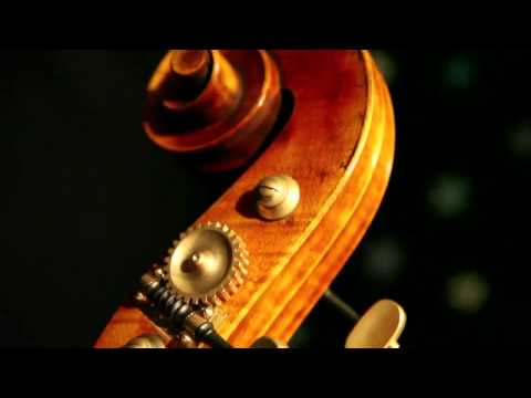 Emanuel Wilfer - Double Bass, Modell Testore