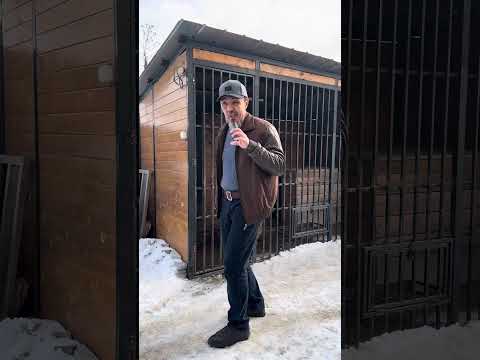 Послушная собака за 1 час.