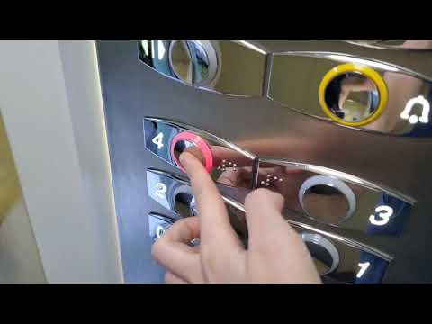 [3 Languages Guided] Otis Glass Elevator @Sir Robert Ho Tung Library