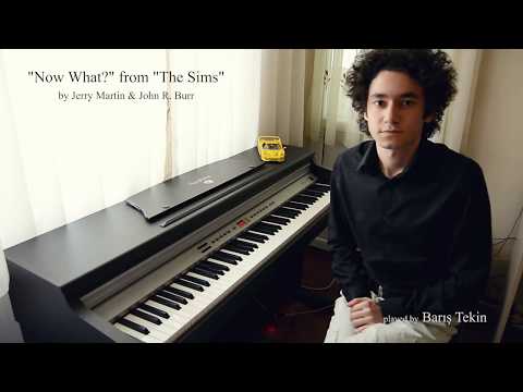 The Sims Build Mode 5 - Now What ?