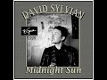 David Sylvian - Midnight Sun (1999)