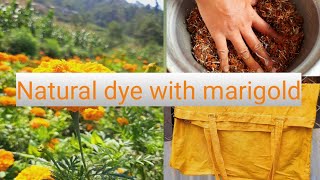 Natural dye with marigold