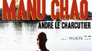 The Monkey - Manu Chao