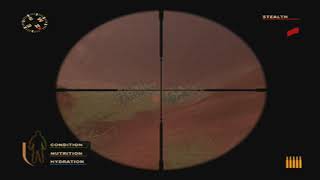 Cabela's Deer Hunt 2004 Season - Arizona (Summer)