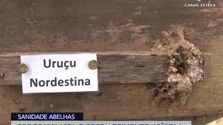 Miniatura do vídeo