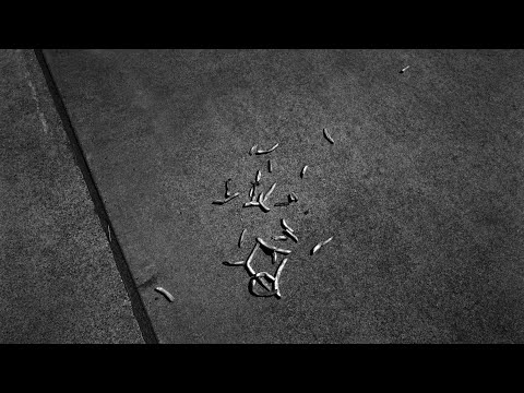 Sharing a roll of UN54 - Orwo's 100 speed black and white film