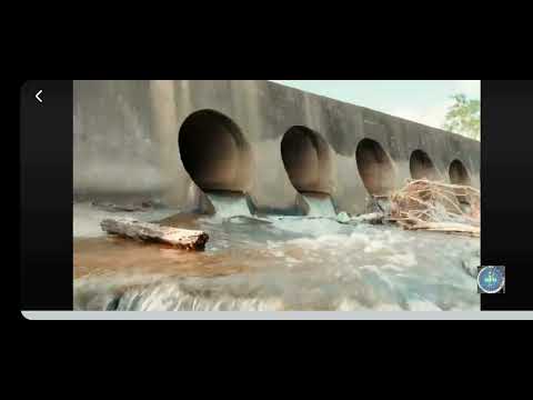 História Do Povoado Ponta Da Serra,AL #alagoas #history #nordeste 