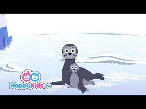 download lagu mp3 mp4 Songs About Seals, download lagu Songs About Seals gratis, unduh video klip Songs About Seals