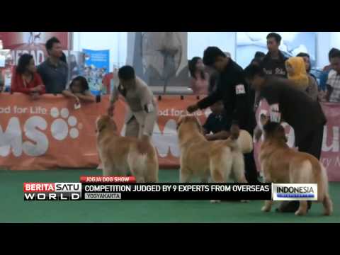 Jogja Dog Show