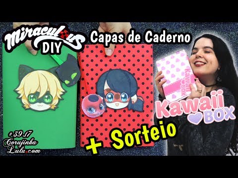 Sorteio Miraculous Ladybug (inauguração Corujinha Lulu Amino)