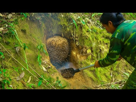 The perilous journey to hunt for wild bees - Harvesting natural food, surviving on the river