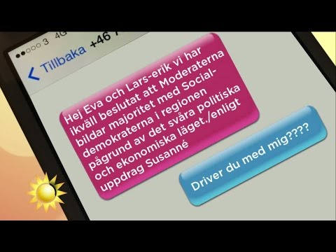 "Svensk politik liknar Paradise Hotel - sveken avlöser varandra" - Nyhetsmorgon (TV4)