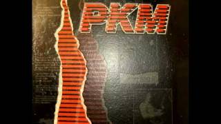 PKM - Play It Cool (1986 - USA) [AOR/Melodic Rock/ Hard Rock]