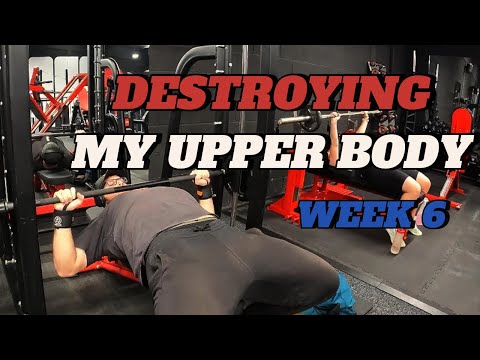 Spring Cut - Day 47 - Upper Body 2 || Week 6