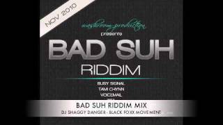 BAD SUH RIDDIM MIX  (NOV 2010) DJ SHAGGY DANGER - BLACK FOXX MOVEMENT