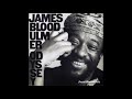 James Blood Ulmer - Election