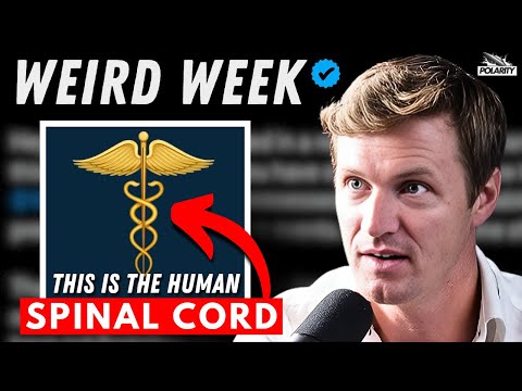 History has been INVERTED to Control your Mind! Matt LaCroix on Lost Esoteric Knowledge