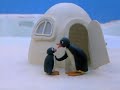 Aaf Pingu S01e24 Pingu And His Friends Play Too Loudly Dvdrip Xvid