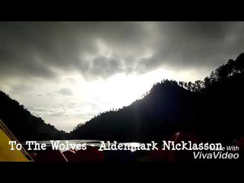 To The Wolves - Aldenmark Niklasson