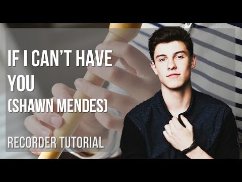 How to play If I Can't Have You by Shawn Mendes on Recorder (Tutorial)