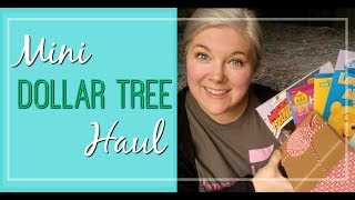 Quick Dollar Tree Haul