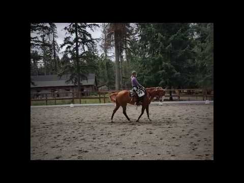 Lower Puget Sound Dressage Club Western Dressage
