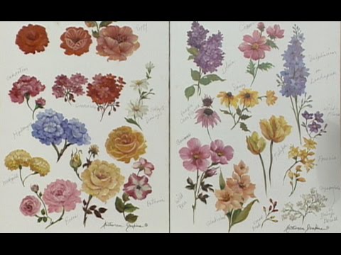 The Beauty of Oil Painting, Series 1, Episode 27 : "Flower Painting Techniques"