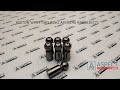 text_video Piston cu două inele Bosch Rexroth R902036771