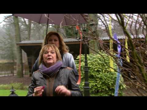 De Verwondering - Liesbeth Gijsbers Vastentijd