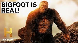 4 SHOCKING BIGFOOT SIGHTINGS | The Proof is Out There