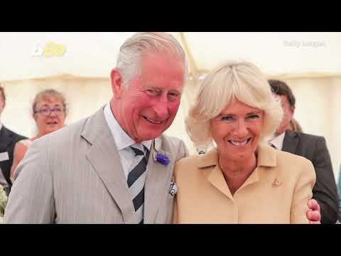 Master Archie Has Red Hair Like His Dad