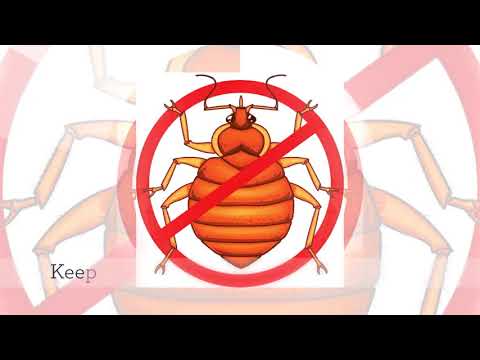 download lagu mp3 mp4 Bed Bug Exterminator Tulsa, download mp3 Bed Bug Exterminator Tulsa free download mp3, download mp3 Bed Bug Exterminator Tulsa