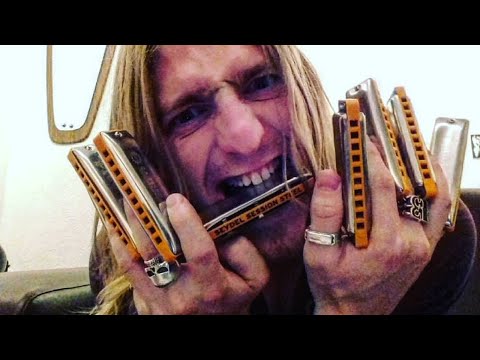Seydel 10320D| Will Wilde Custom Tuned Session Steel Harmonica, Key of D image 4