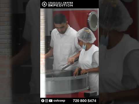 Where Coffee Comes to Life | The Roasting Process in Valle del Cauca