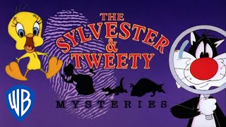 Looney Tunes SING-ALONG | The Sylvester & Tweety Mysteries Theme Song | WB Kids
