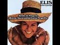 Elis Regina Samba da Pergunta