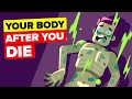 What Happens To Your Body After You Die
