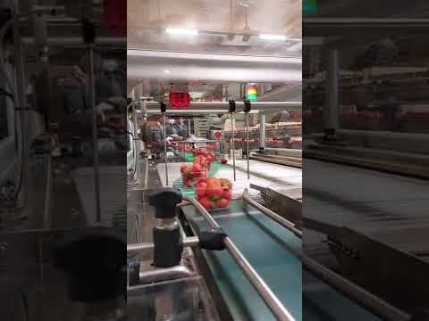 Gamaco Phantom 150 E P260205055