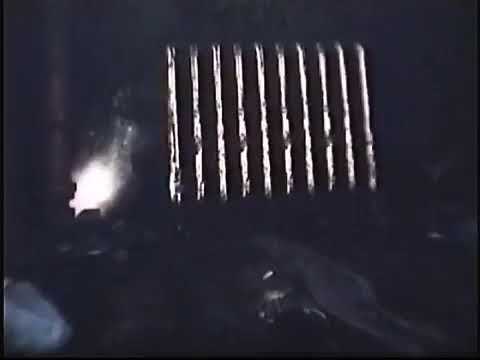 Bones Twitter Video - THEMANINTHERADIATOR 30.10.2018 [21.06.2018]