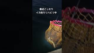 数年ぶりにイカ🦑釣り🎣やってます！