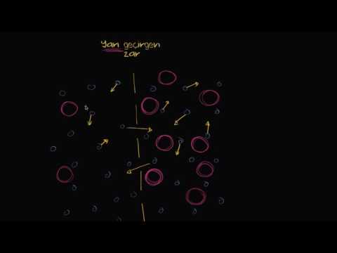 Osmoz (Biyoloji / Zarlar ve Taşınım)