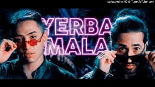 Andy Rivera Feat Dalmata – Yerba Mala