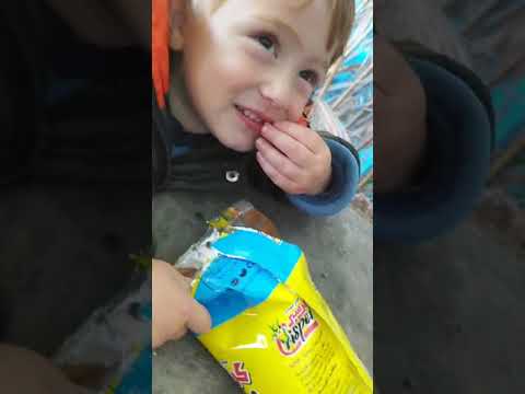 2024 02 25 Shadi - Chips (8 Shekel) - Gaza - Deir Al Balah